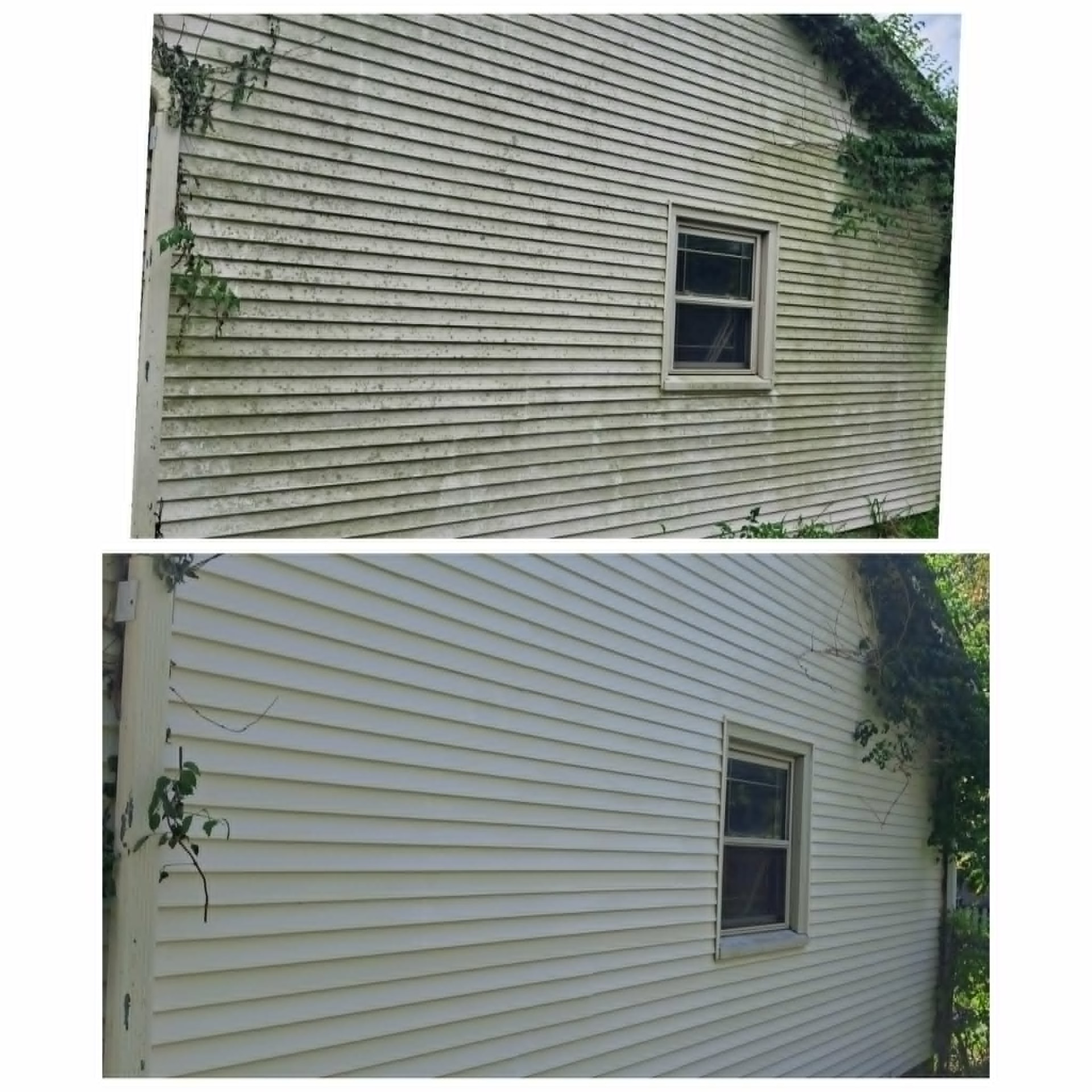 White vinyl siding mildew and algae removal before and after cleaning