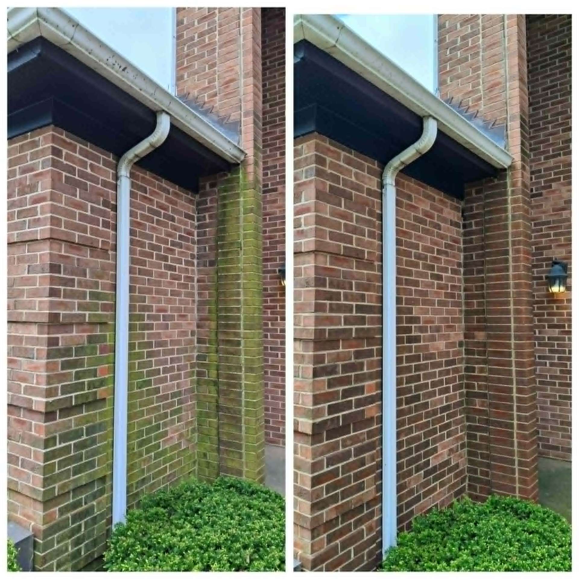 Brick wall moss and algae removal before and after cleaning